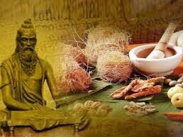 cropped download 4145.jpeg